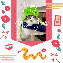 あけましておめでとうございます！！